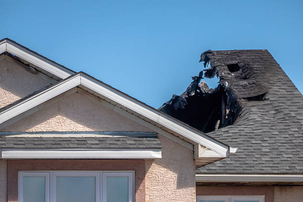 Licensed Fire Damage Removal service in Alexandria, VA - Fire Damage Biloxi
